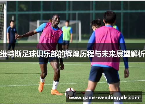 维特斯足球俱乐部的辉煌历程与未来展望解析