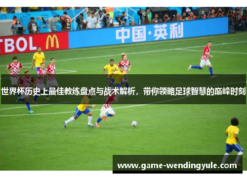 世界杯历史上最佳教练盘点与战术解析，带你领略足球智慧的巅峰时刻