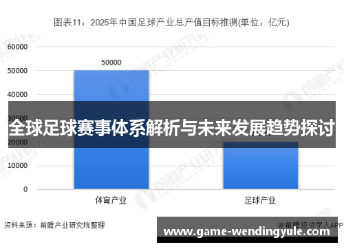 全球足球赛事体系解析与未来发展趋势探讨