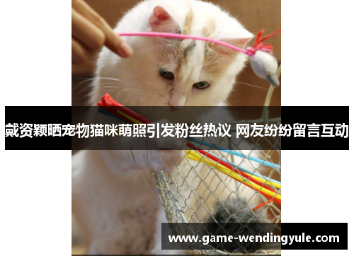 戴资颖晒宠物猫咪萌照引发粉丝热议 网友纷纷留言互动