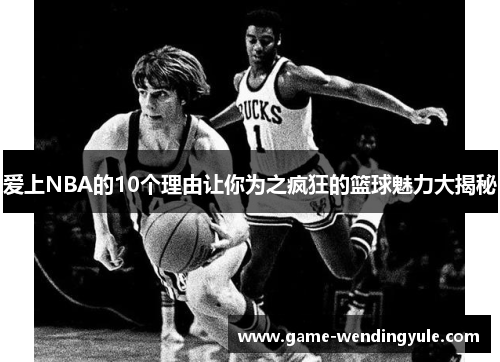 爱上NBA的10个理由让你为之疯狂的篮球魅力大揭秘