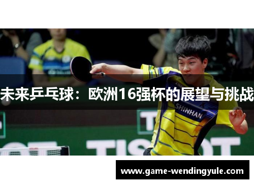 未来乒乓球：欧洲16强杯的展望与挑战