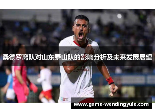 桑德罗离队对山东泰山队的影响分析及未来发展展望