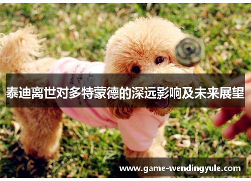 泰迪离世对多特蒙德的深远影响及未来展望