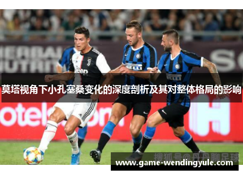 莫塔视角下小孔塞桑变化的深度剖析及其对整体格局的影响
