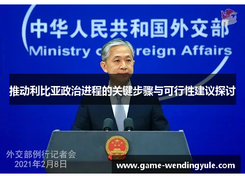 推动利比亚政治进程的关键步骤与可行性建议探讨