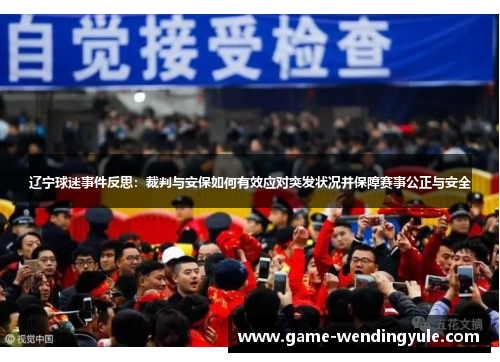 辽宁球迷事件反思：裁判与安保如何有效应对突发状况并保障赛事公正与安全