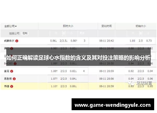 如何正确解读足球心水指数的含义及其对投注策略的影响分析