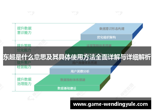 东超是什么意思及其具体使用方法全面详解与详细解析